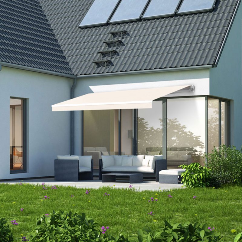 toldo wasabi