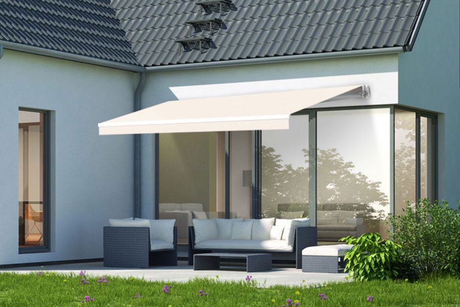toldo wasabi