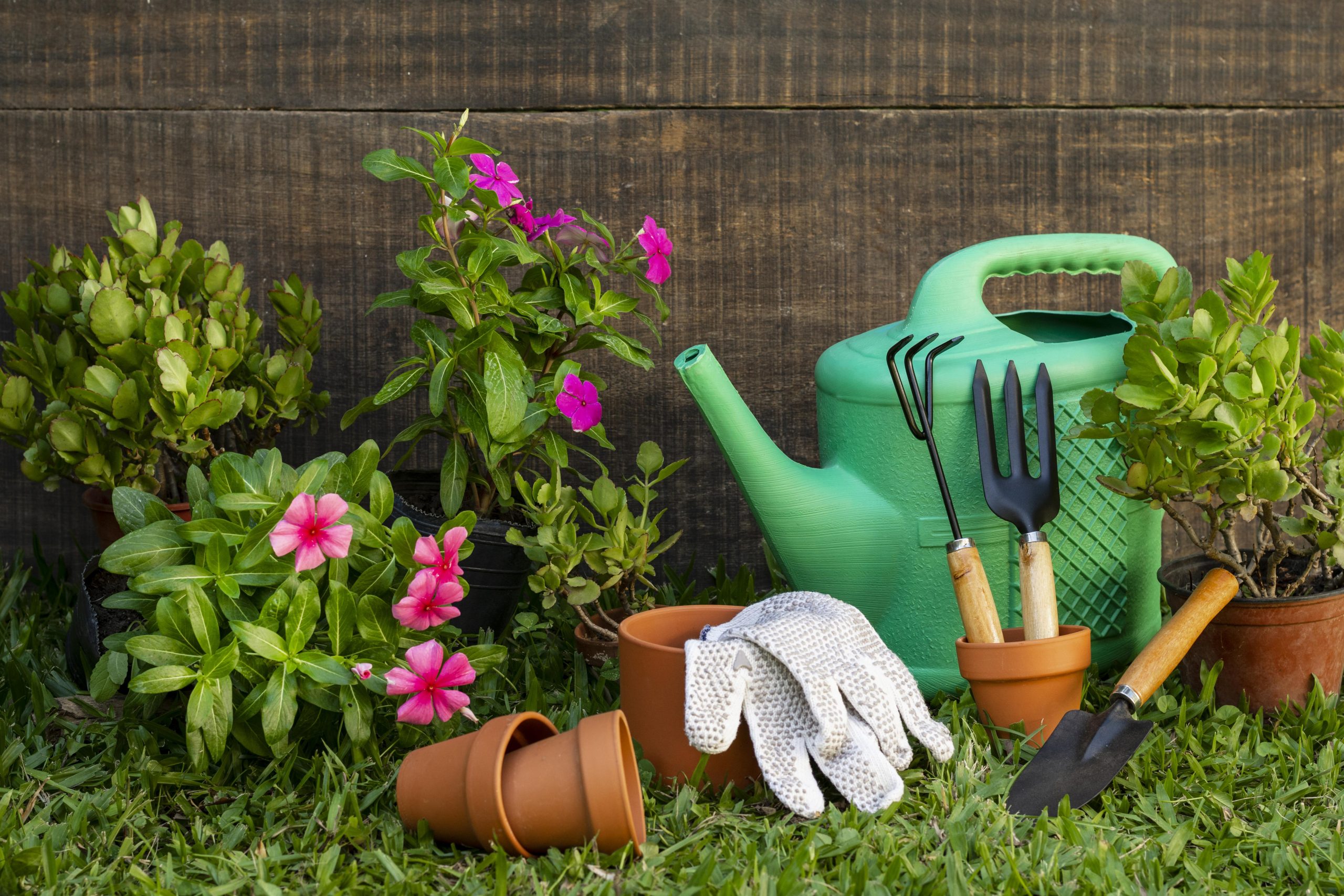 Prepara tu jardín para el verano con estos 4 consejos