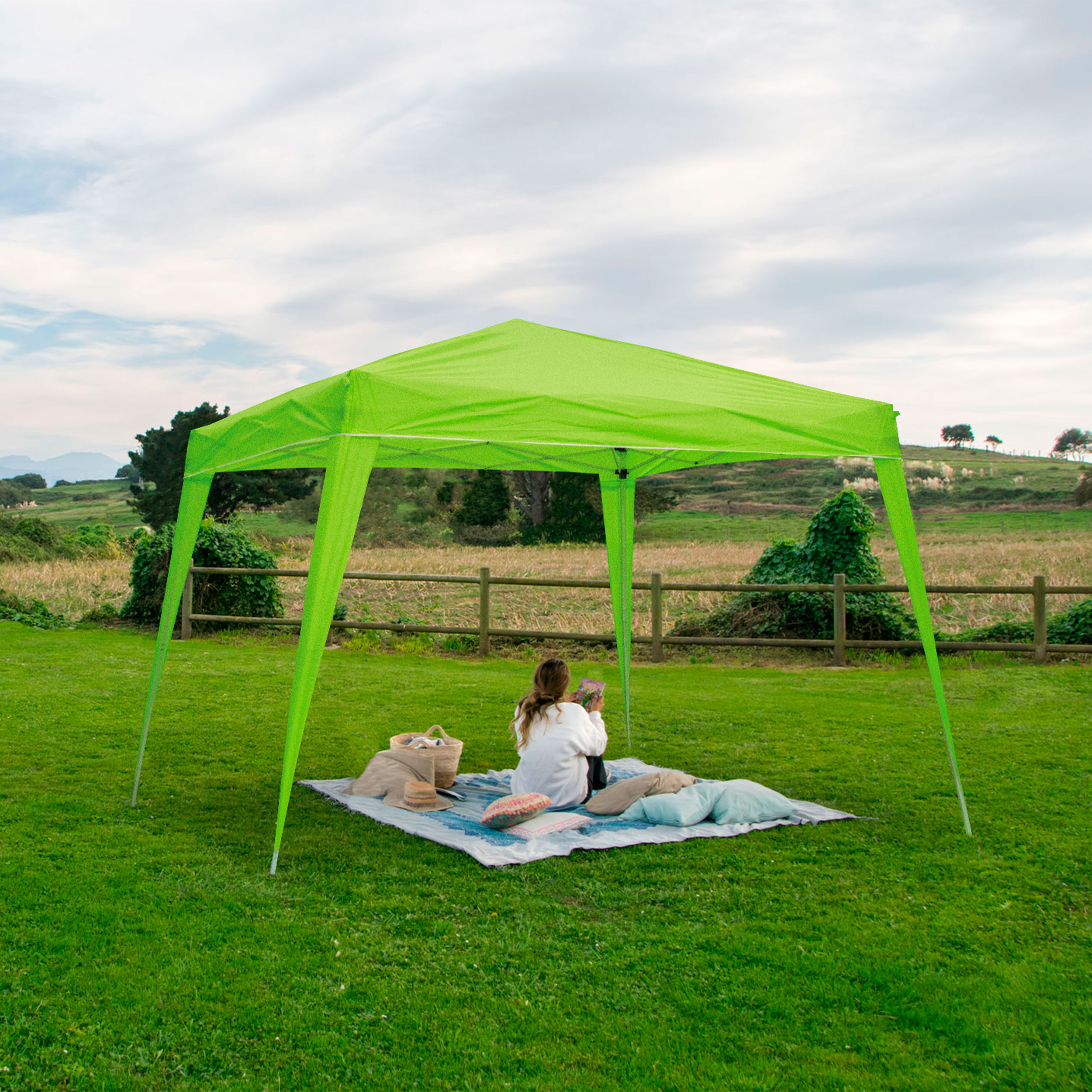 Consejos para elegir la carpa adecuada para tus necesidades