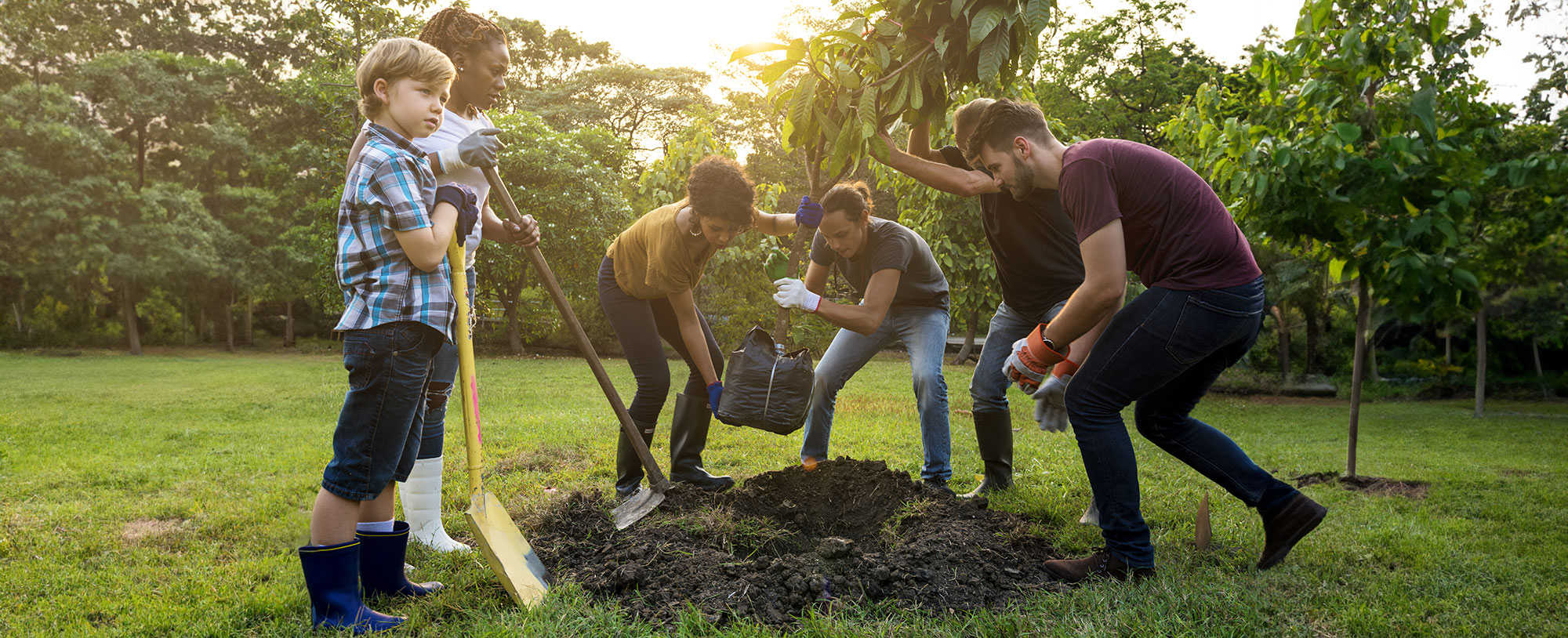 Casetas metálicas WASABI: La elección sostenible para la organización de tu jardín
